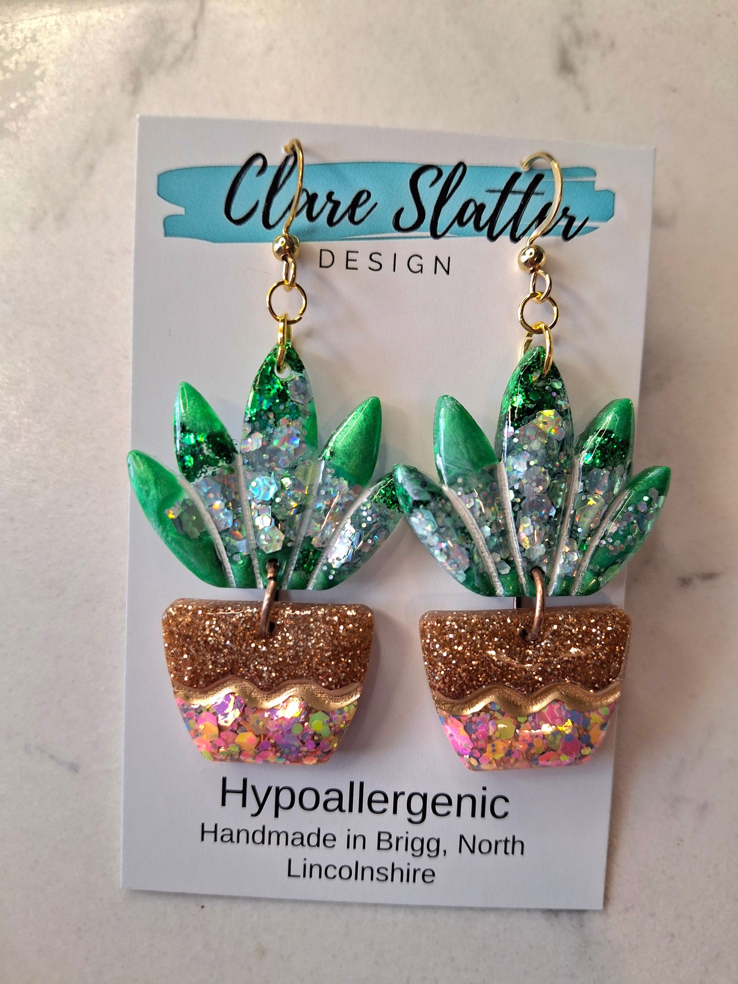 Succulent dangles