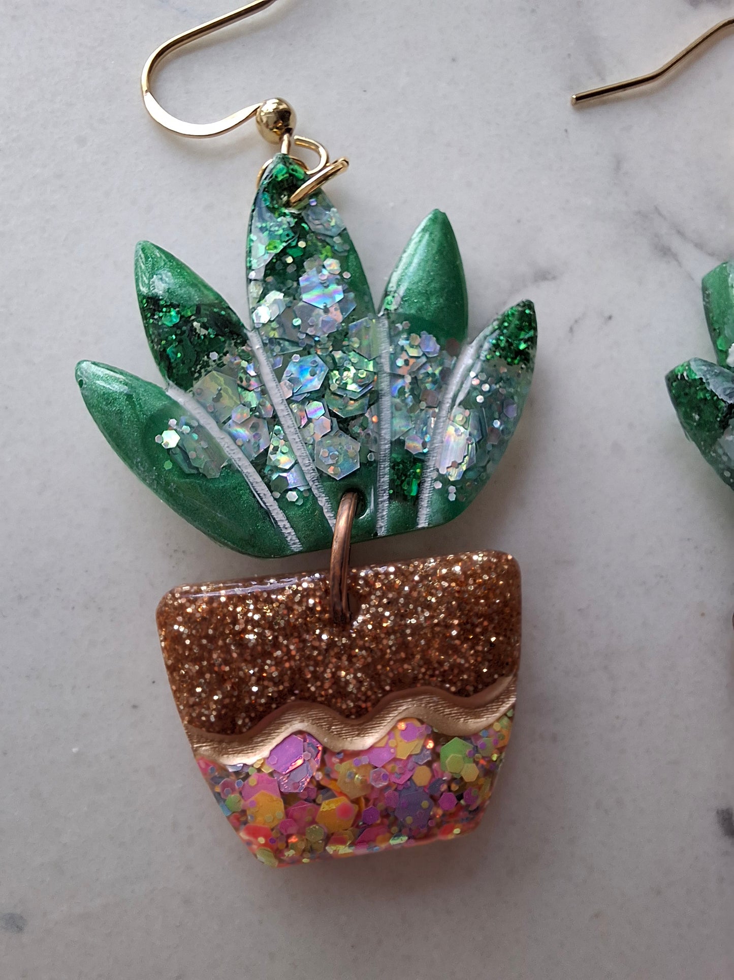 Succulent dangles
