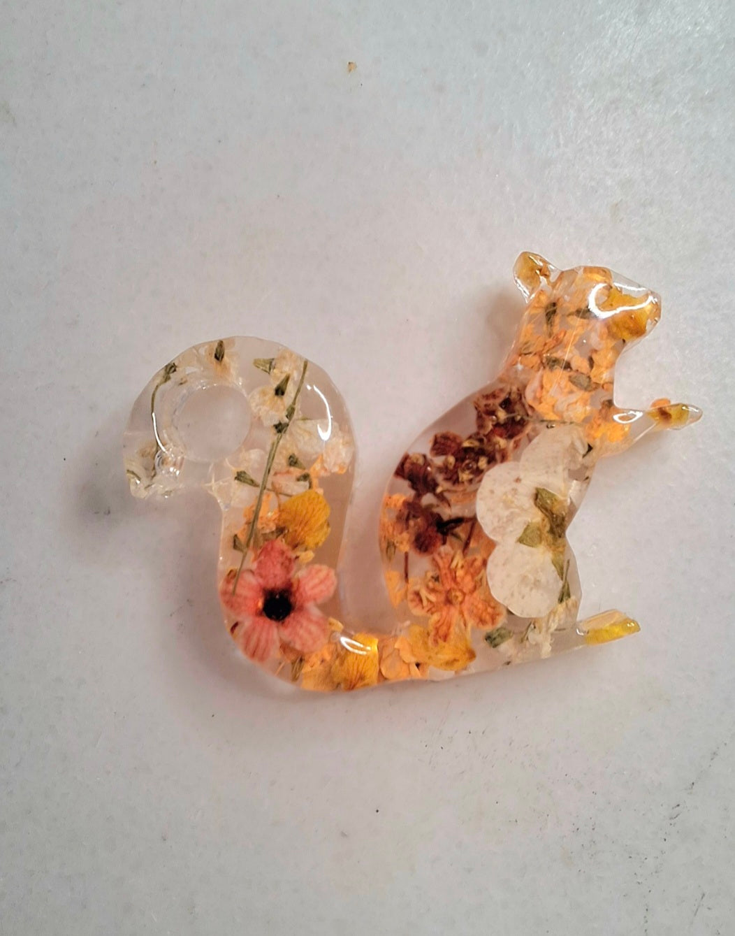 Real preserved flower squirrel hoops/dangles